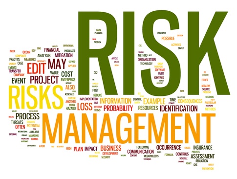 ISO 31000 Risk Management (RM)